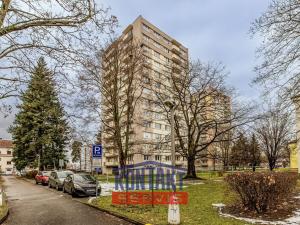 Prodej bytu 1+kk, České Budějovice, Čéčova, 65 m2