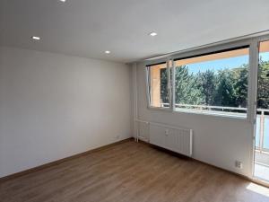 Pronájem bytu 1+kk, Plzeň, Sokolovská, 34 m2