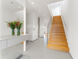 Pronájem bytu 6+kk a větší, Vestec, V Lukách, 313 m2