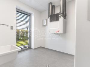 Pronájem bytu 6+kk a větší, Vestec, V Lukách, 313 m2