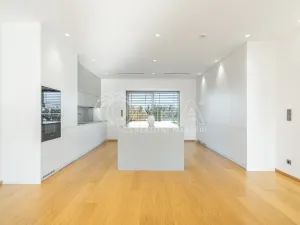 Pronájem rodinného domu, Vestec, V Lukách, 313 m2