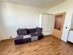 Pronájem bytu 1+kk, Brno, Halasovo náměstí, 21 m2