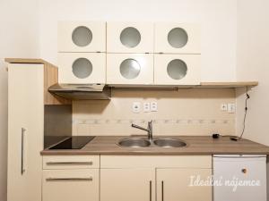 Pronájem bytu 2+kk, Praha - Žižkov, Víta Nejedlého, 43 m2