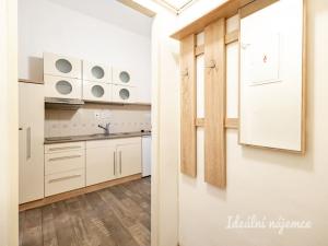 Pronájem bytu 2+kk, Praha - Žižkov, Víta Nejedlého, 43 m2