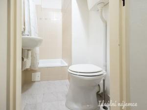 Pronájem bytu 2+kk, Praha - Žižkov, Víta Nejedlého, 43 m2