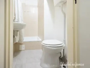 Pronájem bytu 2+kk, Praha - Žižkov, Víta Nejedlého, 43 m2