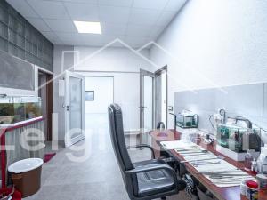 Pronájem skladu, Bojkovice, 234 m2