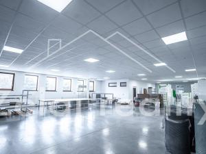 Pronájem obchodního prostoru, Bojkovice, 302 m2