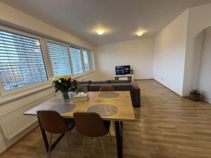 Pronájem bytu 3+kk, Pardubice - Zelené Předměstí, Hronovická, 100 m2