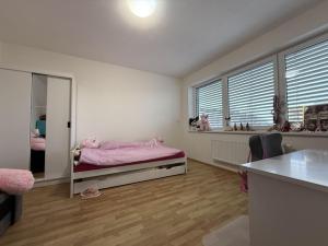 Pronájem bytu 3+kk, Pardubice - Zelené Předměstí, Hronovická, 100 m2