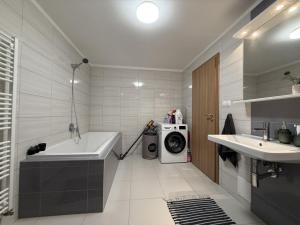 Pronájem bytu 3+kk, Pardubice - Zelené Předměstí, Hronovická, 100 m2