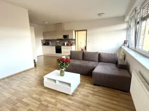 Pronájem bytu 3+kk, Pardubice - Zelené Předměstí, Hronovická, 100 m2