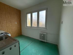 Pronájem bytu 2+1, Most, Zdeňka Fibicha, 55 m2