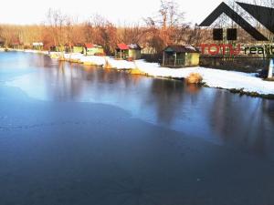 Prodej rybníku, Černožice, 44772 m2
