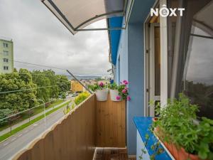 Pronájem bytu 3+1, Zábřeh, Československé armády, 60 m2