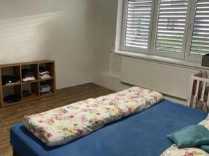 Prodej rodinného domu, Velké Bílovice, Čejkovská, 385 m2