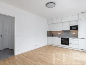 Pronájem bytu 1+kk, Praha - Nusle, Maroldova, 27 m2