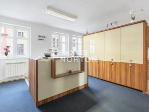 Prodej rodinného domu, Roudnice nad Labem, Dr. Slavíka, 300 m2