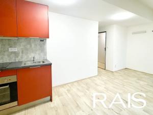 Pronájem bytu 1+1, Brno, Bašty, 40 m2
