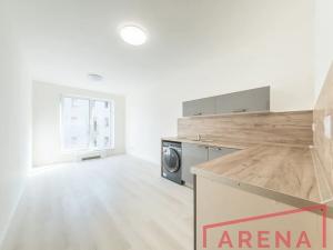 Pronájem bytu 1+kk, Brno, Dornych, 28 m2
