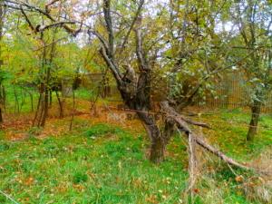 Prodej rodinného domu, Krhovice, 80 m2