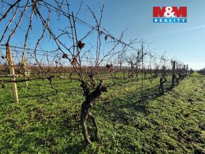 Prodej pole, Velké Bílovice, 7286 m2