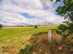 Prodej pozemku pro bydlení, Planá, 961 m2