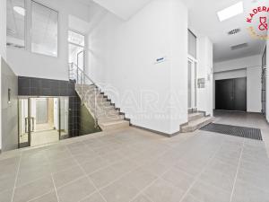 Prodej obchodního prostoru, Brno, Lidická, 326 m2