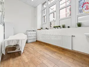 Prodej obchodního prostoru, Brno, Lidická, 326 m2