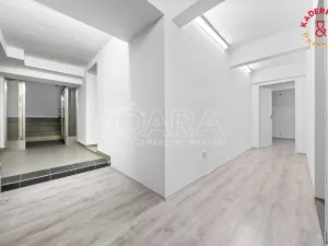 Prodej obchodního prostoru, Brno, Lidická, 326 m2