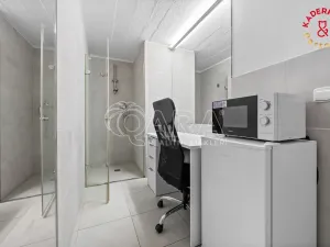 Prodej obchodního prostoru, Brno, Lidická, 172 m2