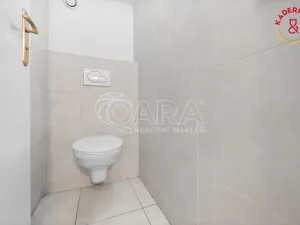 Prodej obchodního prostoru, Brno, Lidická, 172 m2