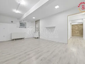 Prodej obchodního prostoru, Brno, Lidická, 172 m2