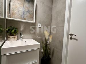 Pronájem bytu 1+kk, Ostrava, Francouzská, 29 m2