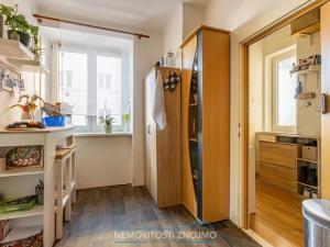 Prodej bytu 1+1, Znojmo, Palliardiho, 44 m2