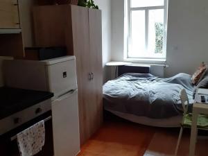 Pronájem bytu 1+kk, Praha - Michle, Čapkova, 20 m2