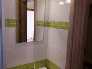 Pronájem bytu 2+1, Prostějov, Šárka, 56 m2