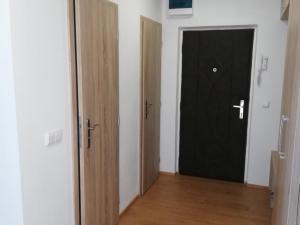 Pronájem bytu 2+1, Prostějov, Šárka, 56 m2