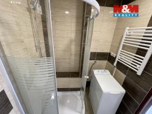 Pronájem bytu 3+1, Sezimovo Ústí, náměstí Tomáše Bati, 60 m2