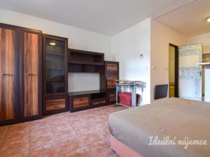 Pronájem bytu 1+kk, Brno, Mlýnské nábřeží, 29 m2