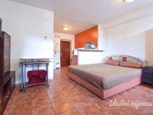 Pronájem bytu 1+kk, Brno, Mlýnské nábřeží, 29 m2