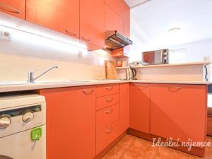 Pronájem bytu 1+kk, Brno, Mlýnské nábřeží, 29 m2