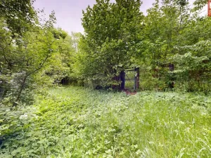 Prodej rodinného domu, Přerov, Čekyňská, 60 m2