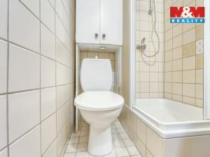 Pronájem bytu 1+kk, Plzeň - Východní Předměstí, Šafaříkovy sady, 23 m2