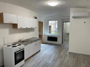 Pronájem bytu 1+kk, Teplice, Souběžná, 50 m2