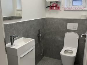 Pronájem bytu 3+kk, Frenštát pod Radhoštěm, Lesní, 90 m2