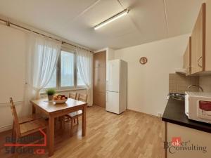 Pronájem bytu 1+1, Louny, Kpt. Nálepky, 30 m2