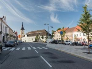 Prodej pozemku pro bydlení, Moravské Budějovice, Chelčického, 4997 m2