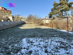 Prodej rodinného domu, Náměšť nad Oslavou, Palackého, 140 m2