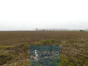 Prodej pole, Dyje, 8295 m2